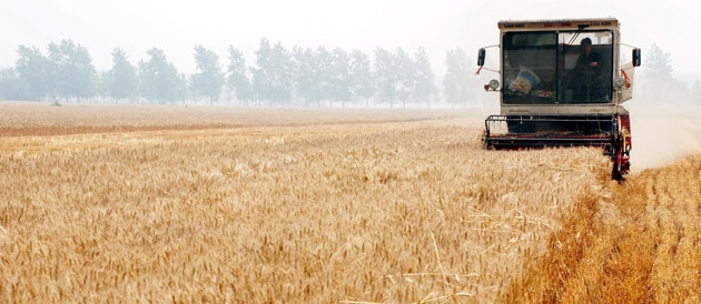 La politique agricole commune (pac)